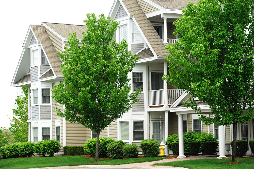 Property Management Tree Services